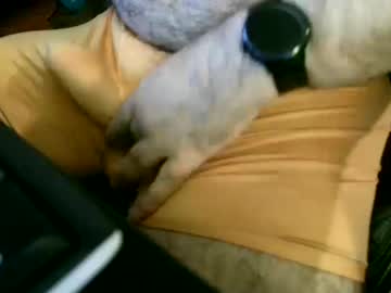 chang92543 — 2025-10-10 04:39 chang92543 — 2025-10-10 04:39